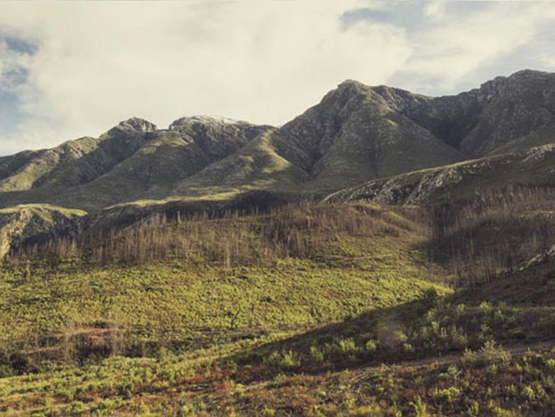 De Companjie Panzió Swellendam Kültér fotó